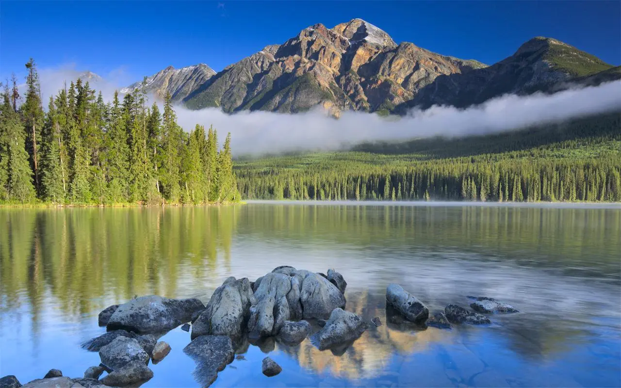 新型科技高端